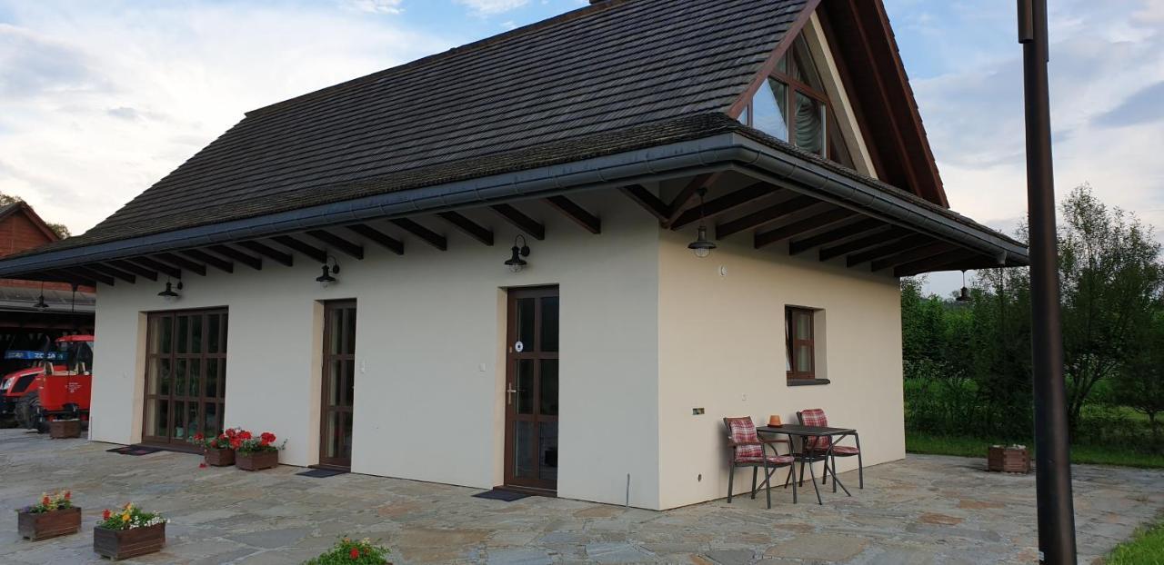 Villa W Dolinie Sanu Lesko Exterior foto
